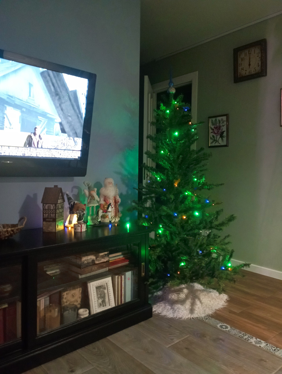 Раньше Юся каждую ночь тырил попонку из под елки и спал на ней(((