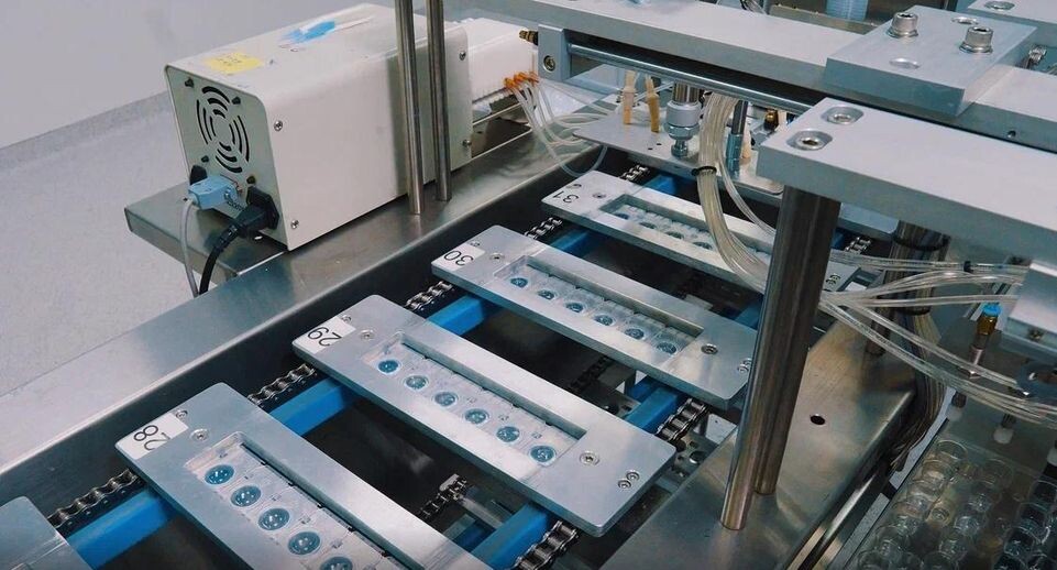    Фото: «Окей Вижен Технологии»