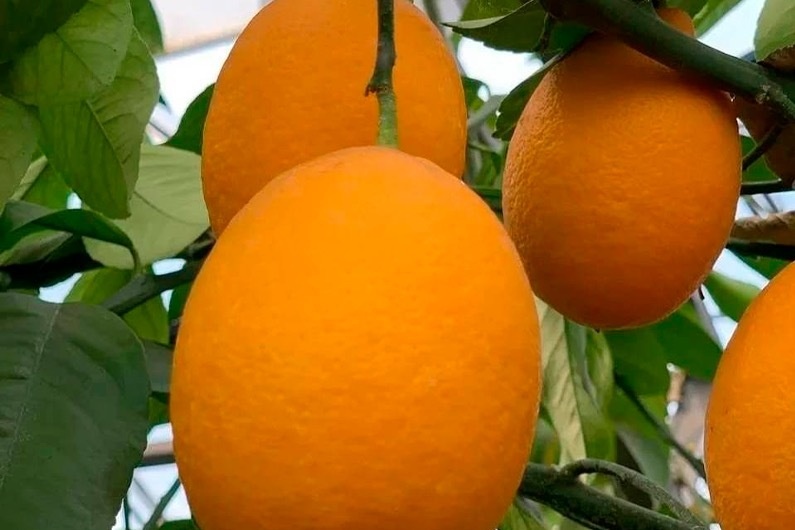 Фото: из личного архива Сергея Королева