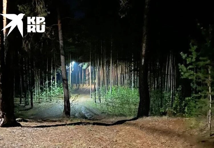 Ребенка подкараулил в лесополосе. Фото: Ольга Куренкова