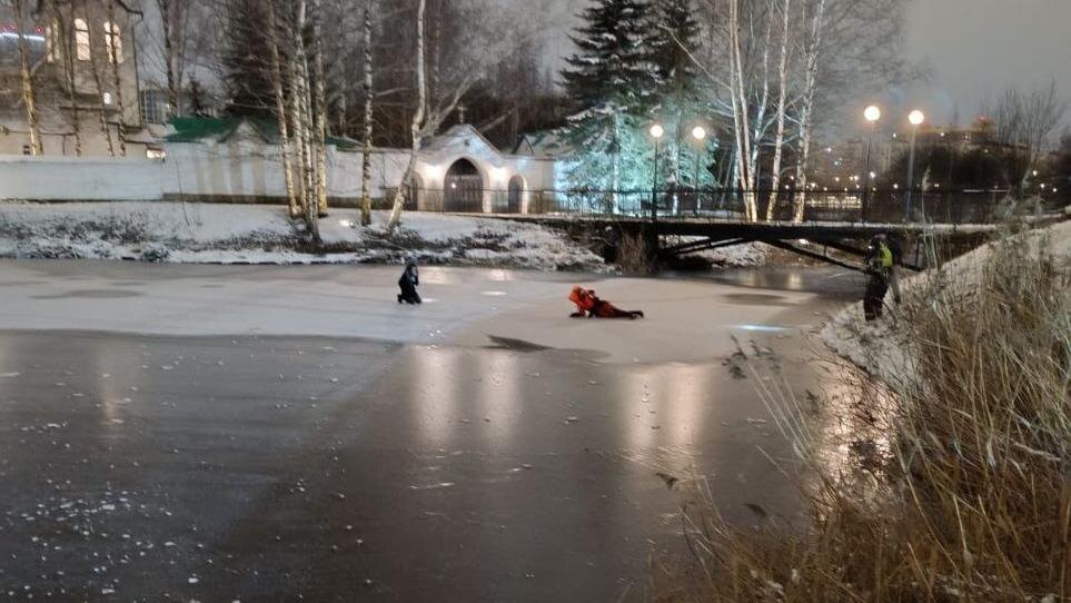    Фото: t.me/mchspetersburg