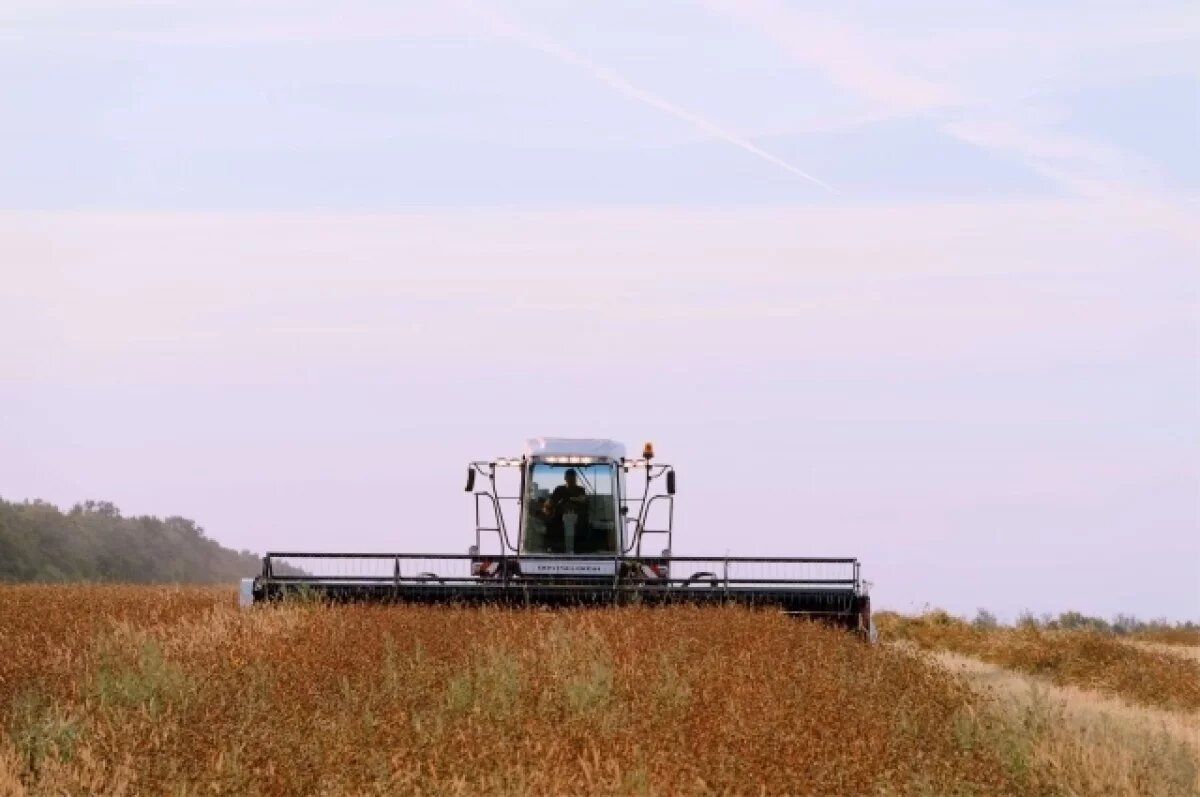    ИП саратовского фермера улучшает показатели с помощью техники Ростсельмаш