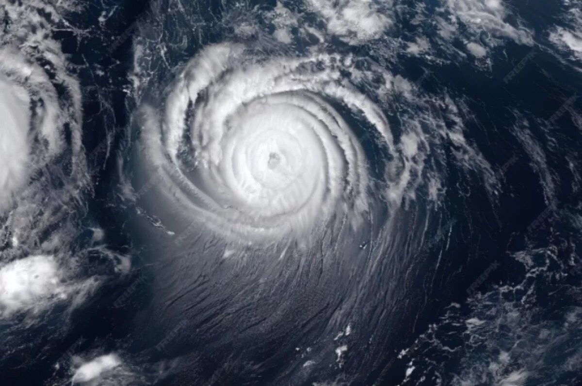    Ждём «Вольфганг».