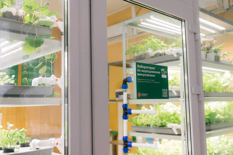    Фото: Вадим Самойлов/"Пятерочка"