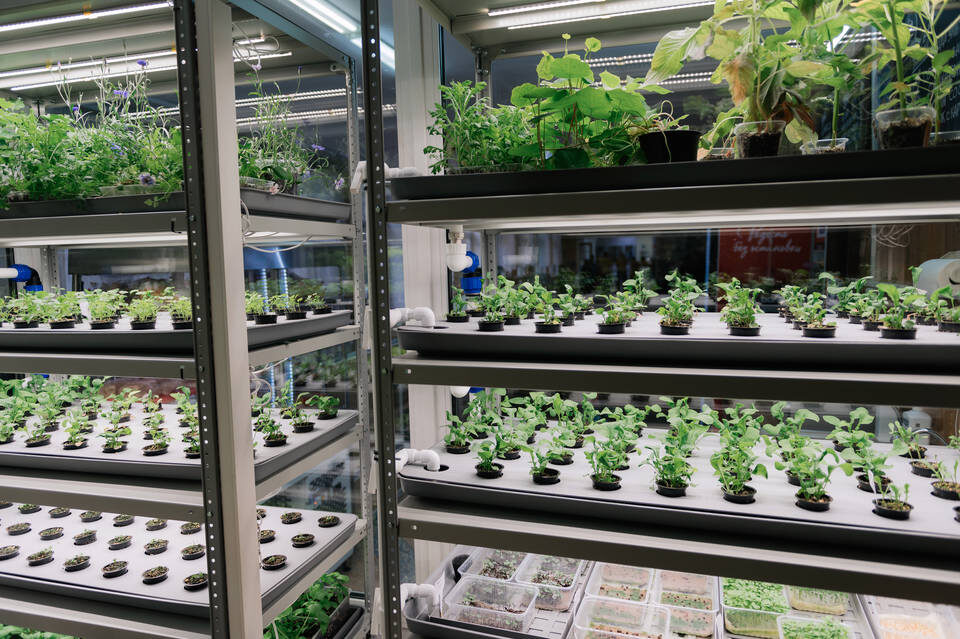    Фото: Вадим Самойлов/"Пятерочка"