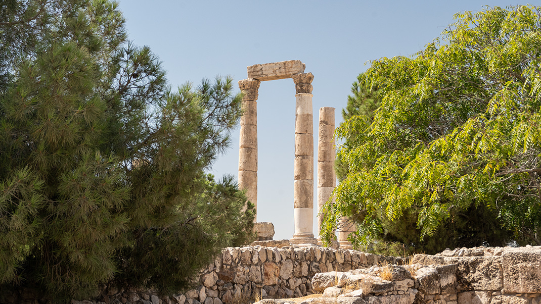 На территории