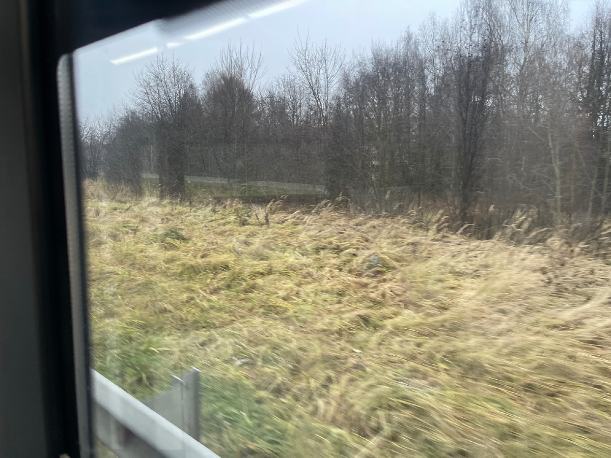 Вид из окна. Фото: Михаил Лайф Влог