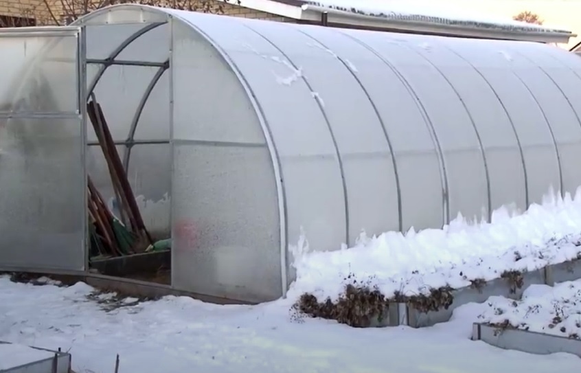 Чем заняться на даче? Январские заботы в саду: какие работы нельзя пропустить?