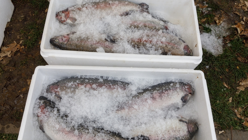      Фото: Дмитрий Ахмадуллин / / ИА «Победа26»