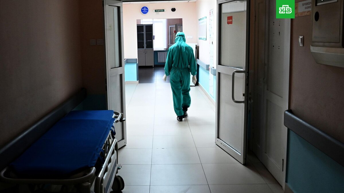    Фото: РИА Новости © 2025, Максим Богодвид