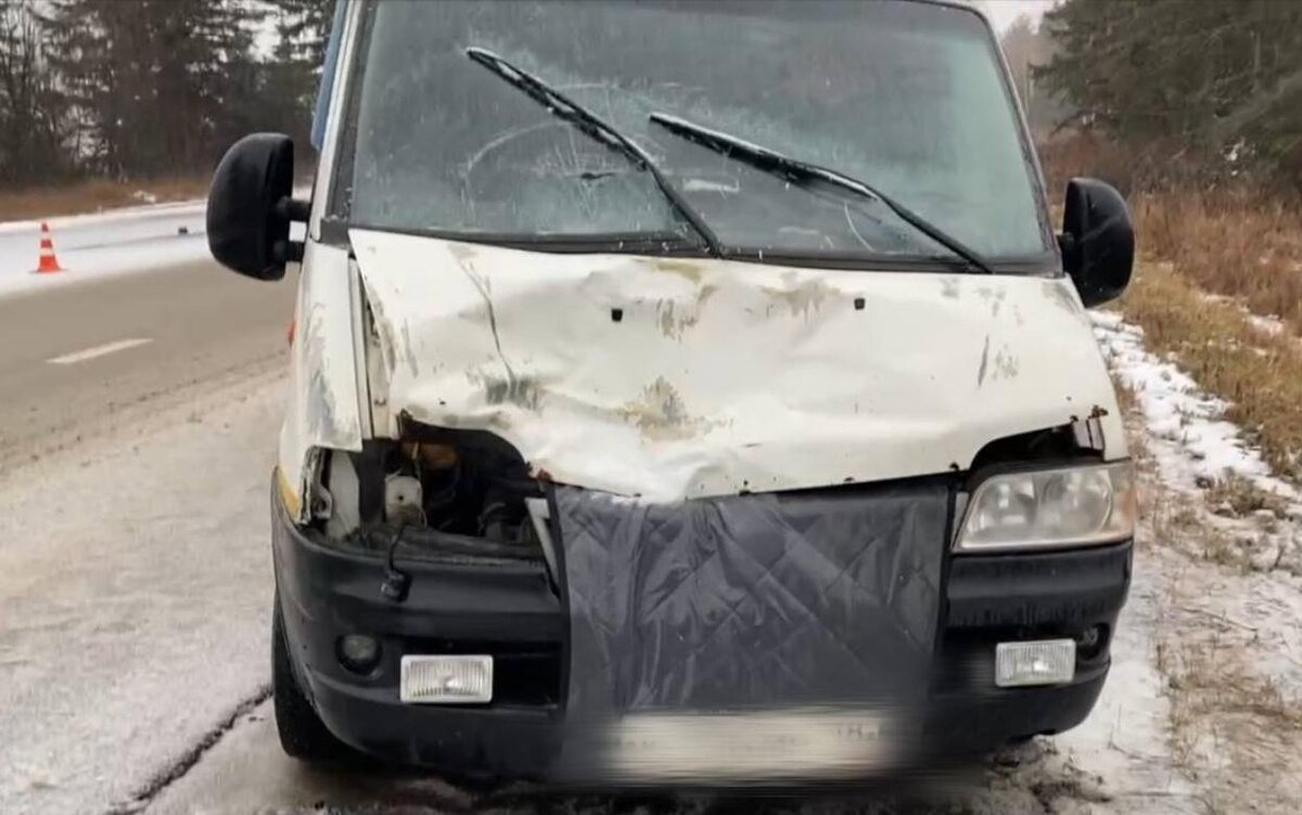    Пенсионерку насмерть сбили на трассе в Удмуртии