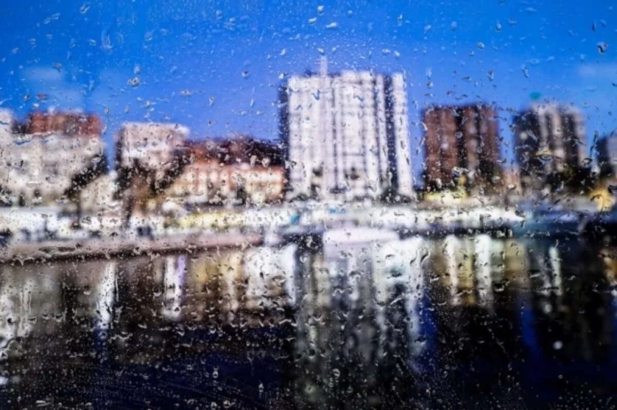    Челябинский ЦГМС: Южный Урал может встретить 2026 год без снега