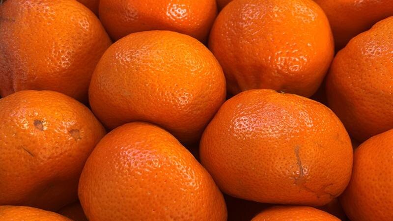    Фото: 178.fsvps.gov.ru