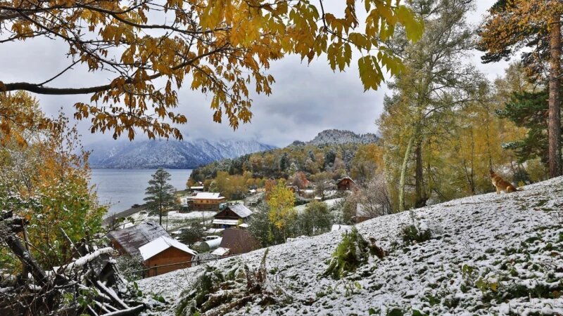     Побережье Телецкого озера рядом с селом Яйлю. Александр Лотов