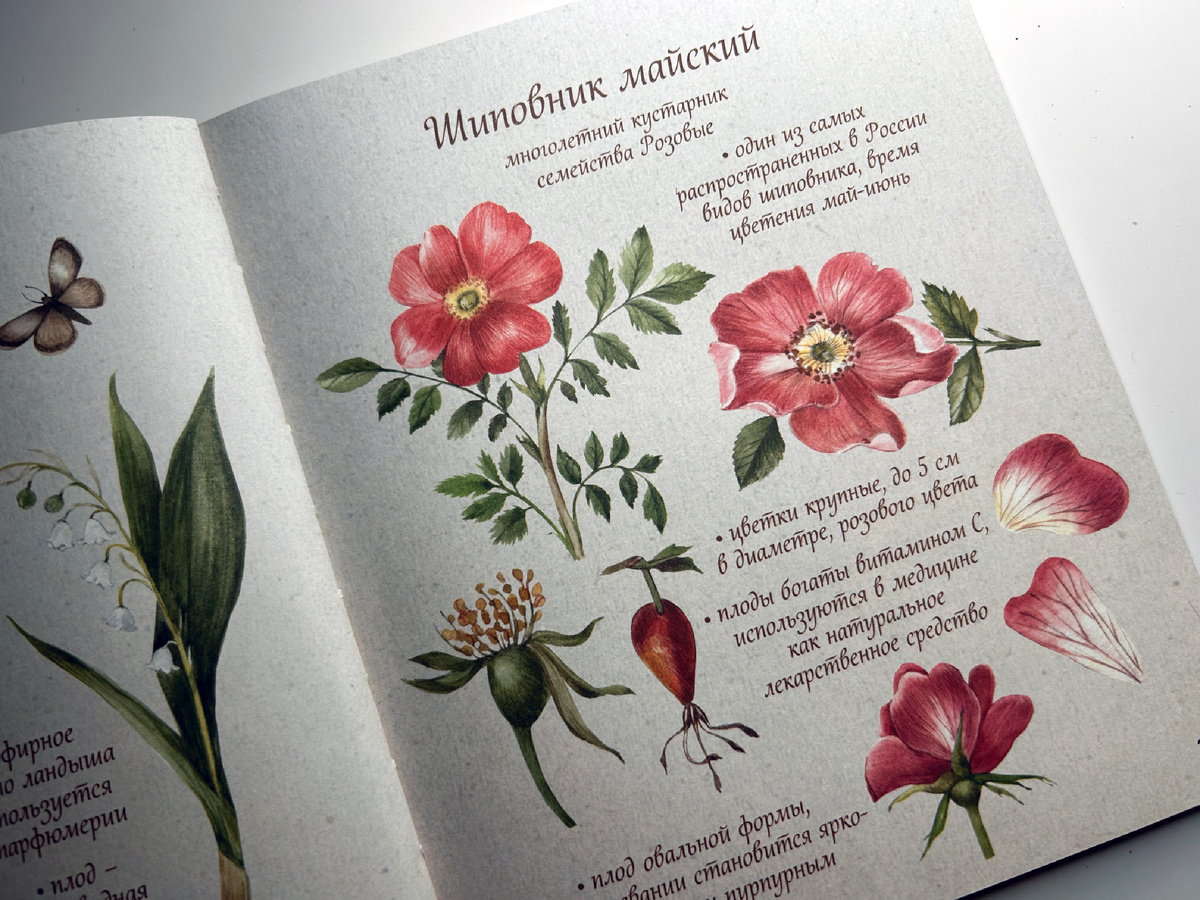 Здесь и далее фото. 