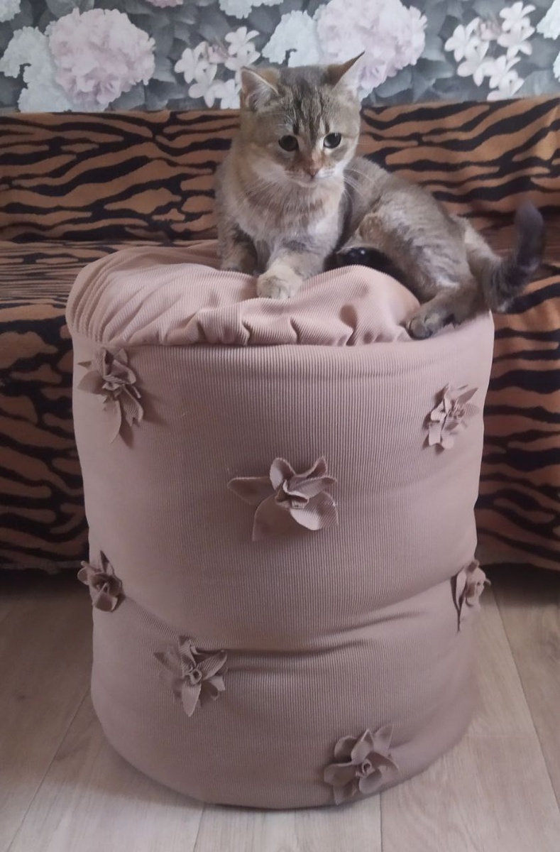 Клепа оценила мой труд