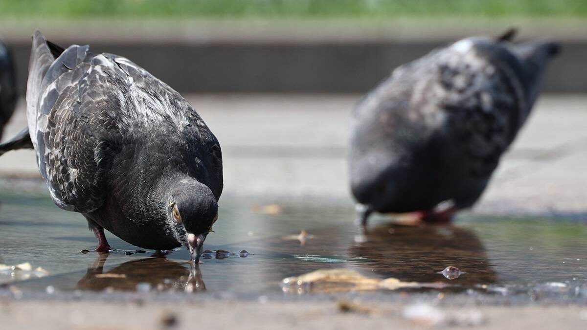    Фото: Ярослав Чингаев / АГН Москва
