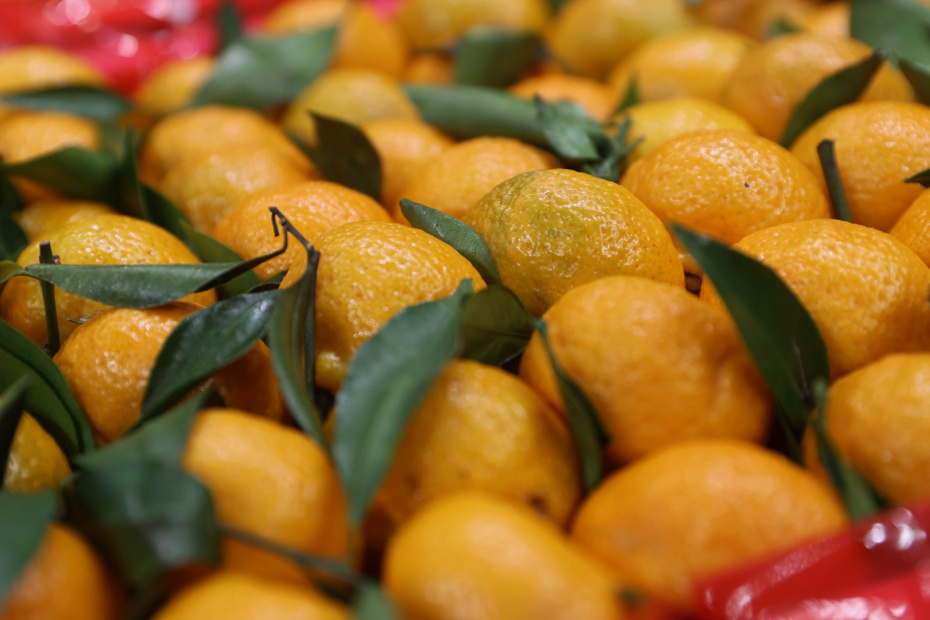    Сергей Булкин/NEWS.ru