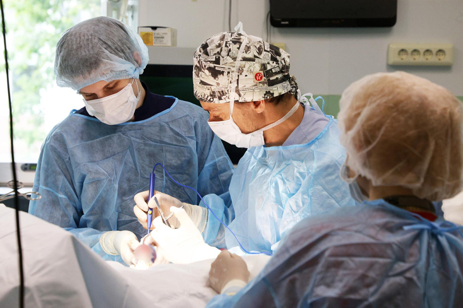    Артем Соболев/NEWS.ru