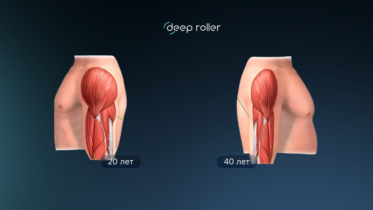 Разница мышц в 20 и 40 лет