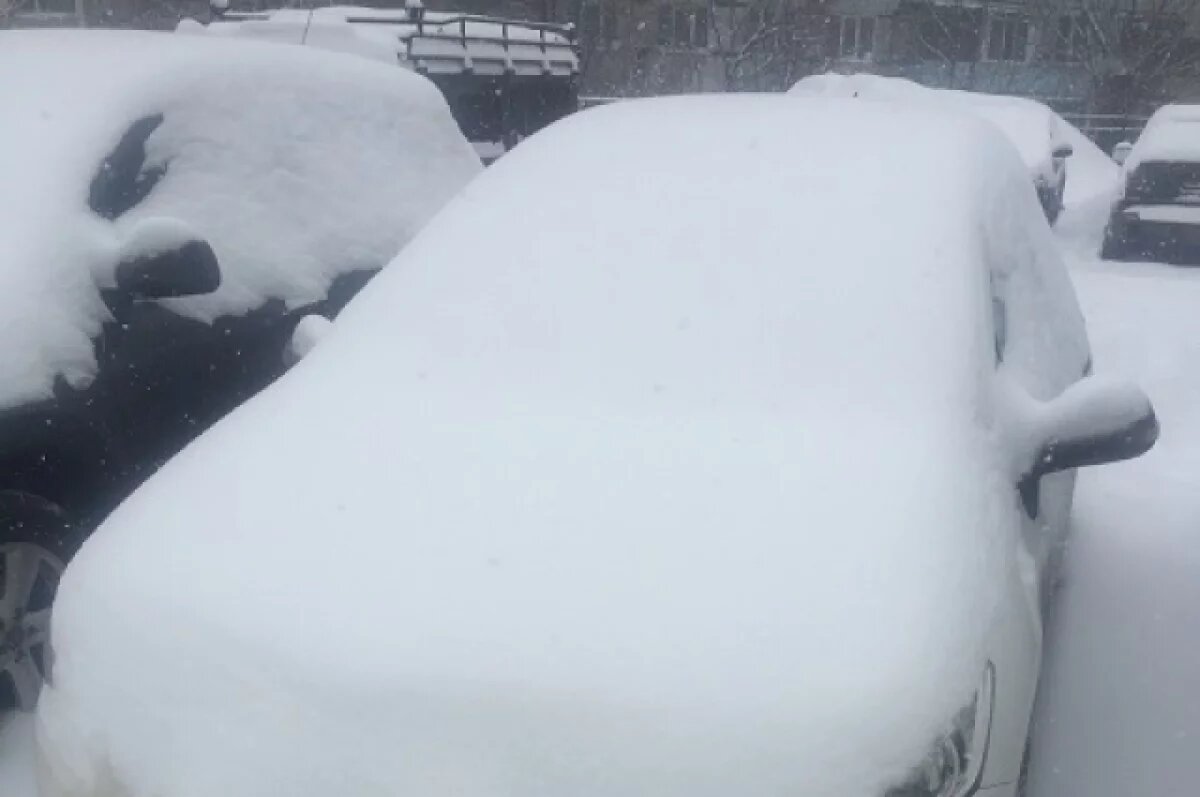    Новосибирск освобождается от "подснежников": эвакуировано более 130 авто