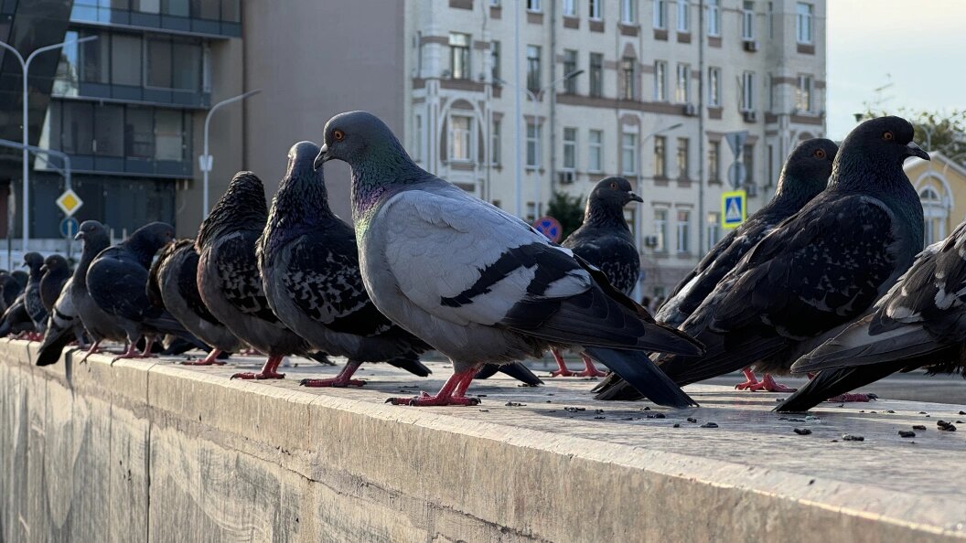    Alexander Legky/Globallookpress