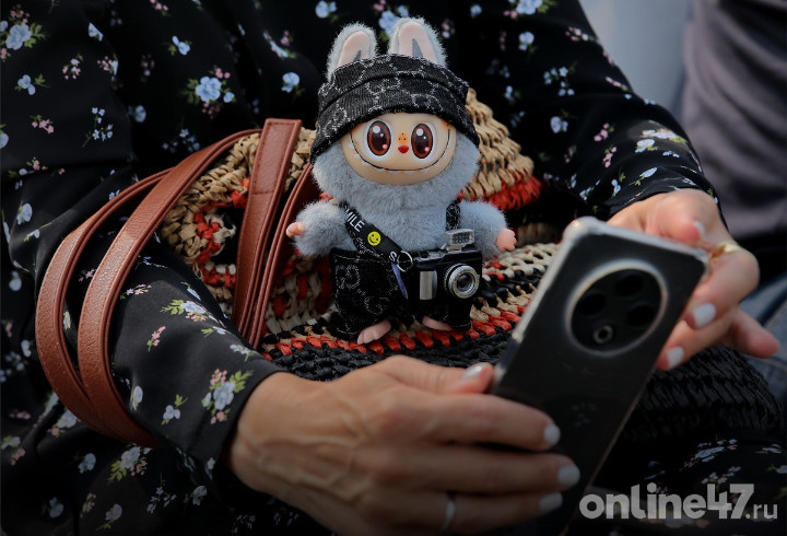 фото:  Валентин Илюшин/Online47