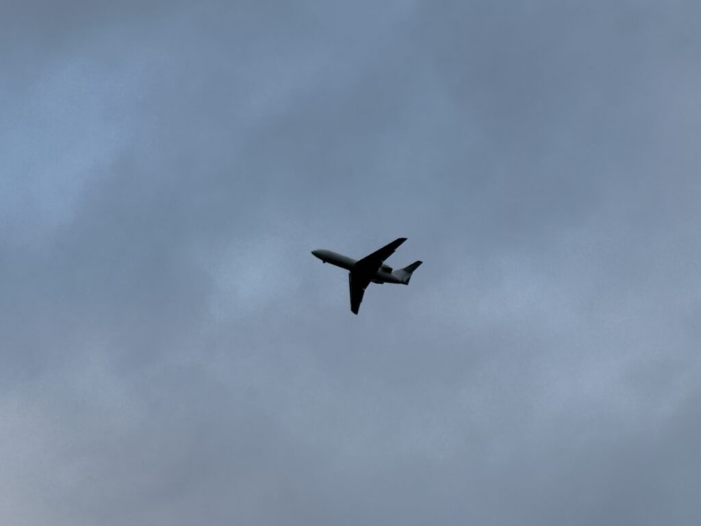    Фото: v-kurse.ru Ольга Гилёва