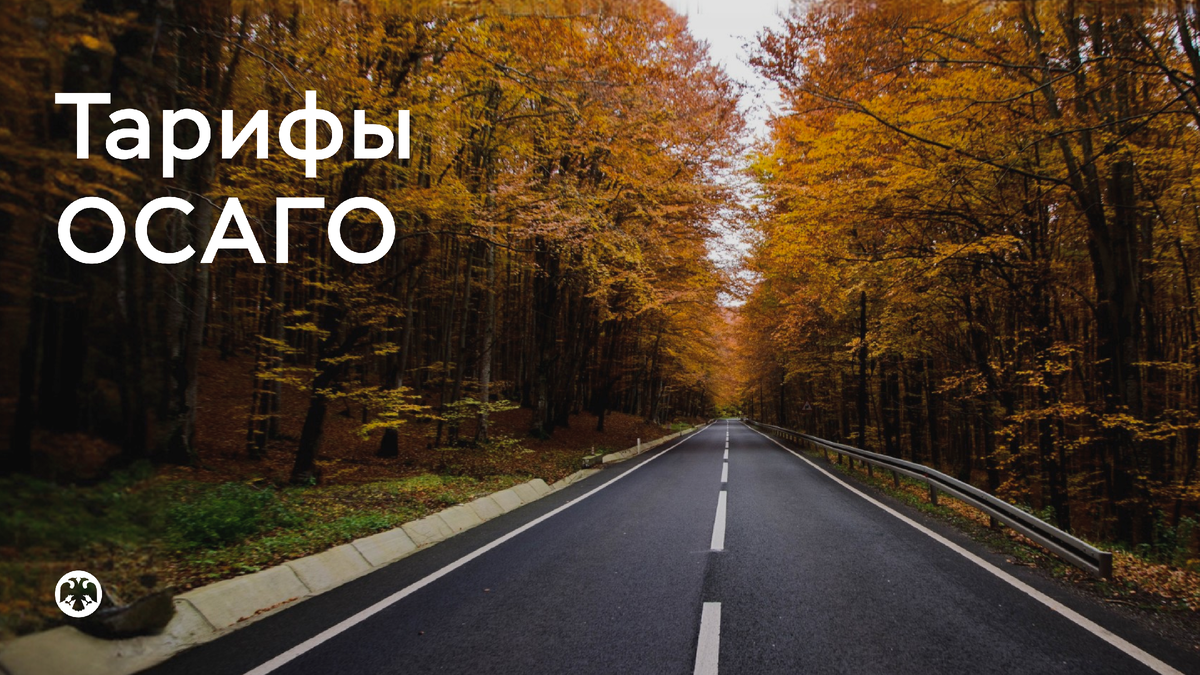 Фото: Ieremias Arnold / Shutterstock