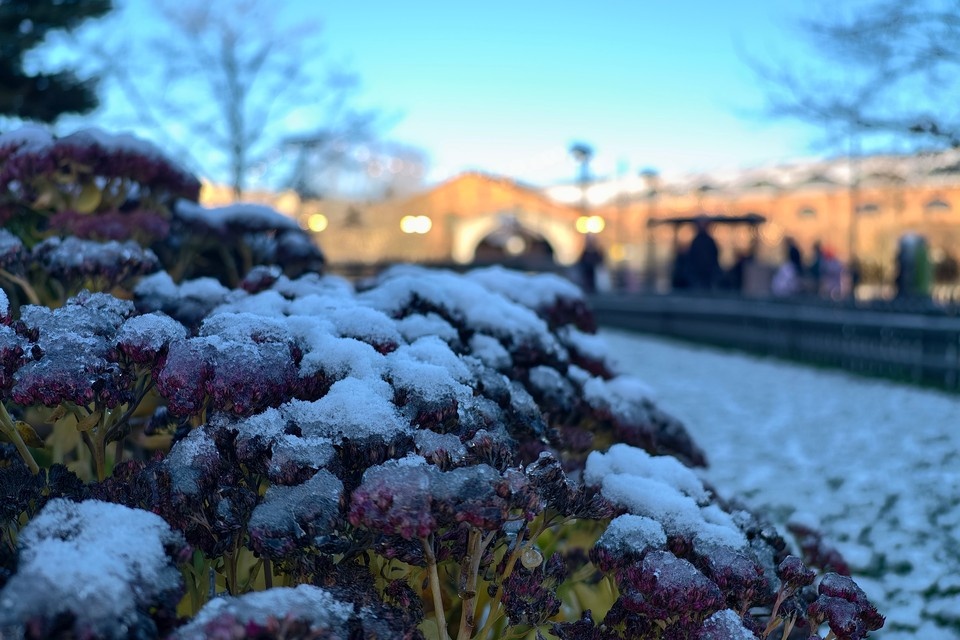    Этой зимой Рязанская область, как обычно, окажется между теплом Атлантики и сибирским холодом. Алексей БУЛАТОВ