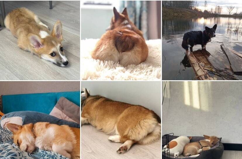 Фото предоставлены владелицами.