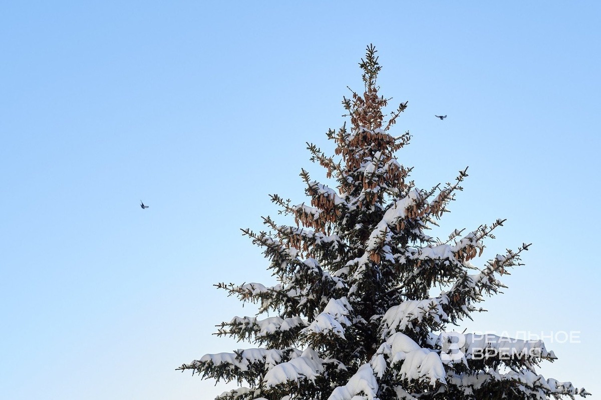   Динар Фатыхов / realnoevremya.ru