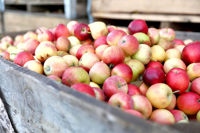    admkrai.krasnodar.ru