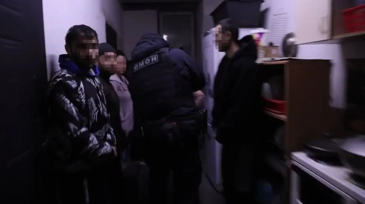    Фото: кадр видео ГУ МВД по Петербургу и Ленобласти