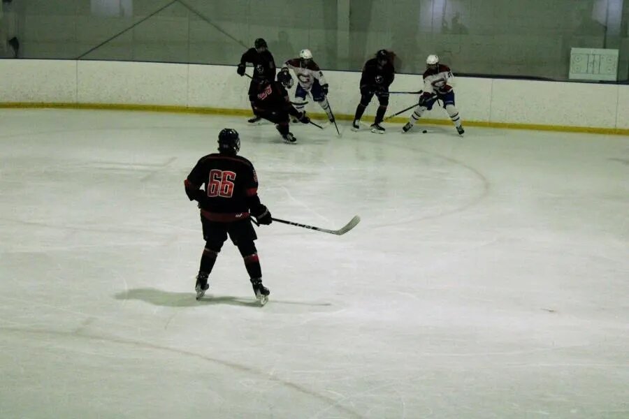 ФОТО Alyssa Coulter on Unsplash