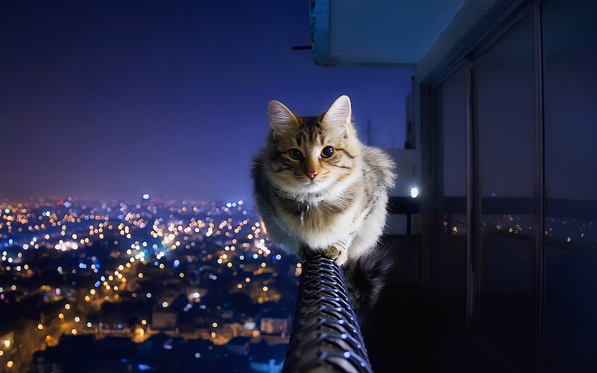 ©️ Фото из открытых источников Интернет