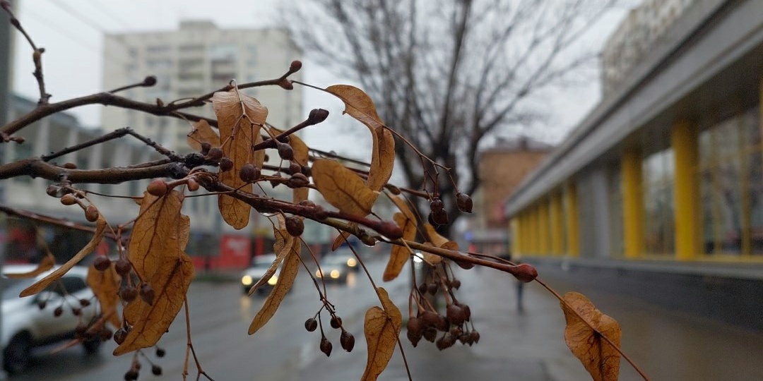 Заканчивается ноябрь. Уходит осень, покидая городские чертоги...