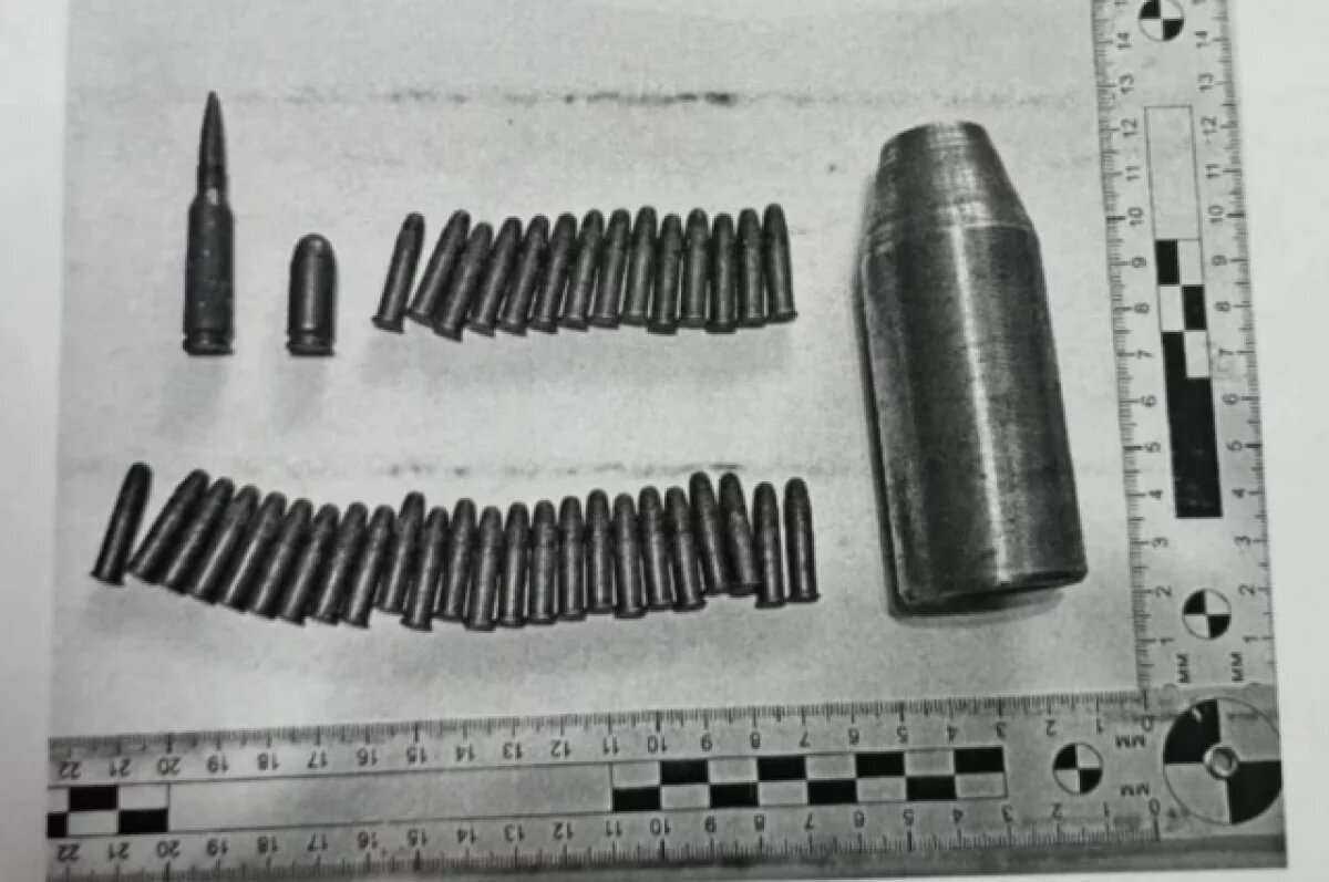    Жителя Воронежа будут судить за забытые 40 патронов в старом портфеле