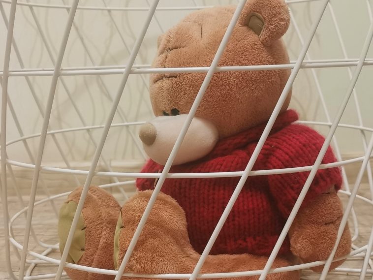 Фото: Volganet.net