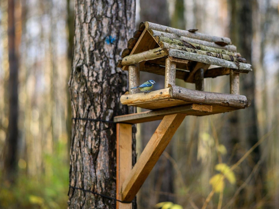    Фото: Министерство по содержанию территорий и государственному жилищному надзору МО