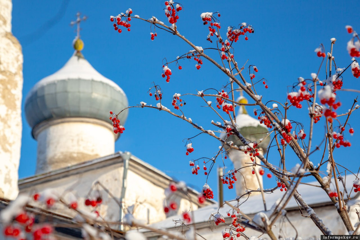 Фото: Анастасия Куртеева / ПАИ