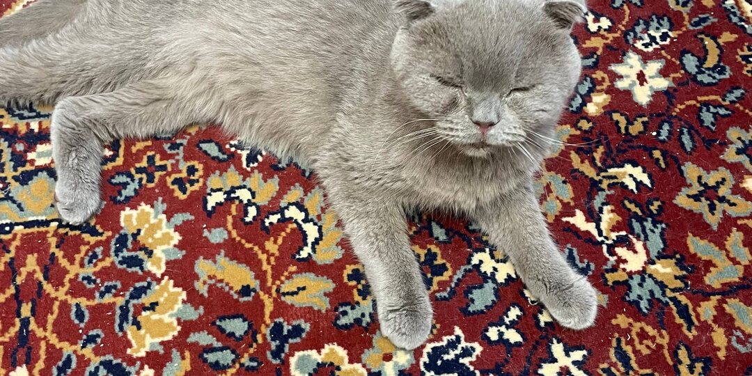 Вчера к нам пришло печальное известие