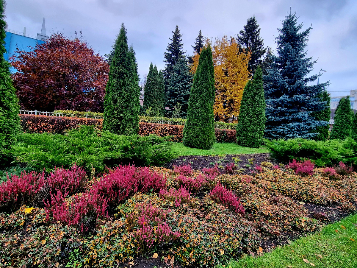 Санкт-Петербург. Крестовский остров. Фото автора статьи.