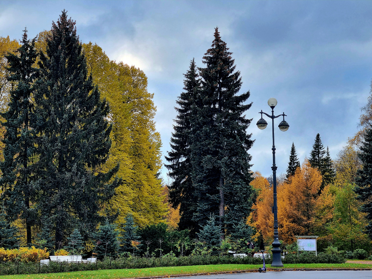 Санкт-Петербург. Крестовский остров. Фото автора статьи.