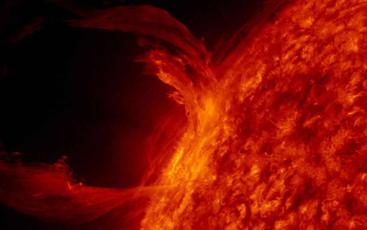     / Источник: © Global Look Press