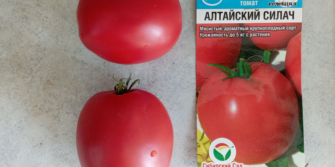 Каталог томатов от агрофирм