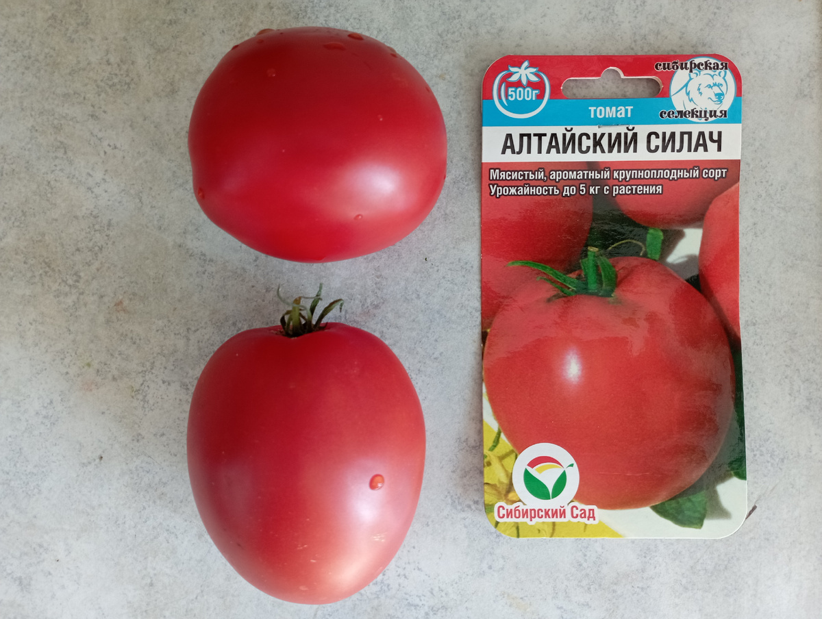 Алтайский силач