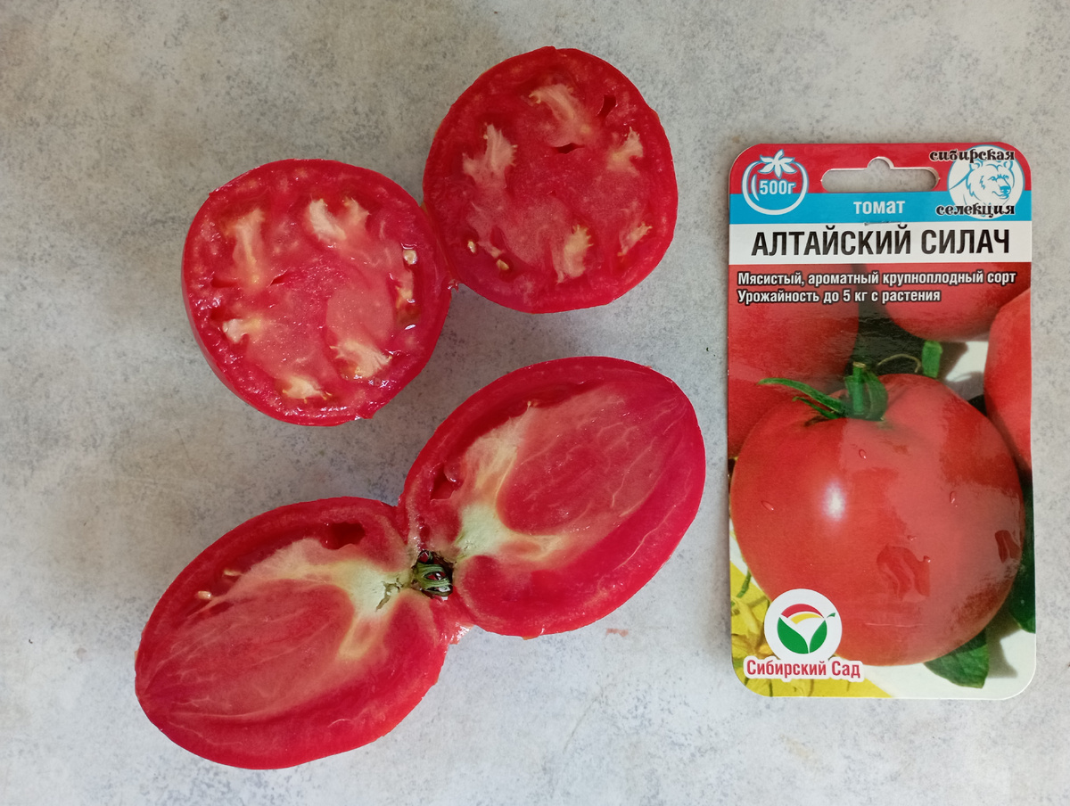 Алтайский силач