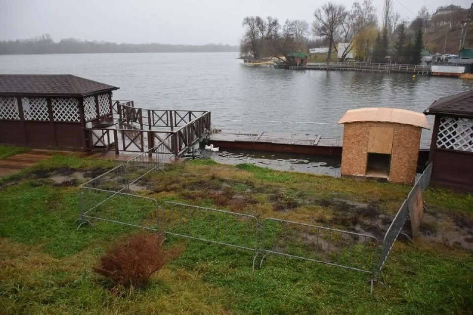    Гусей планируют показать ветеринару