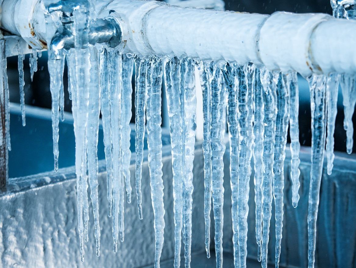 Фото: нейросеть Reve